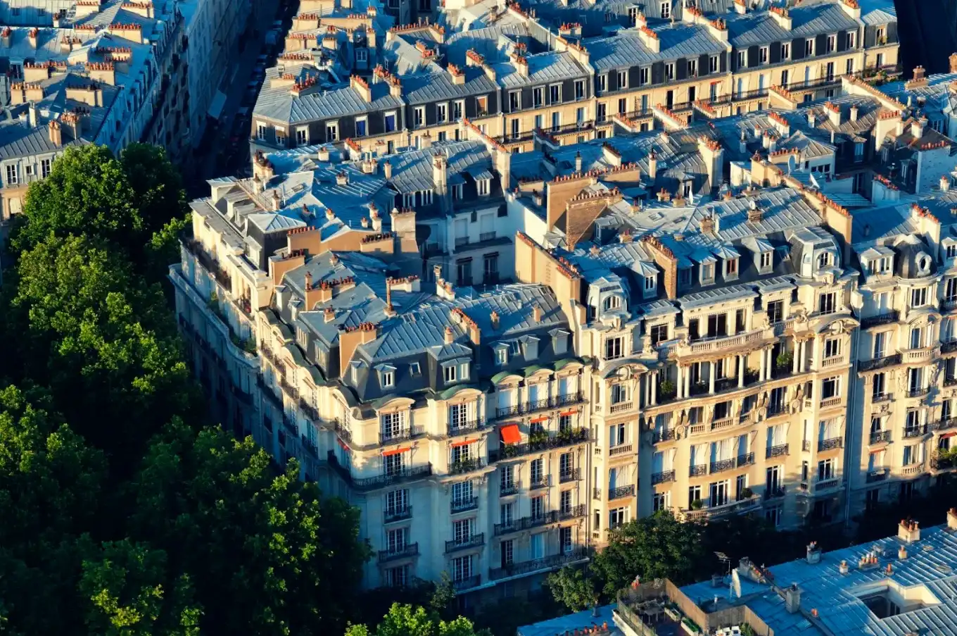 American University of Paris