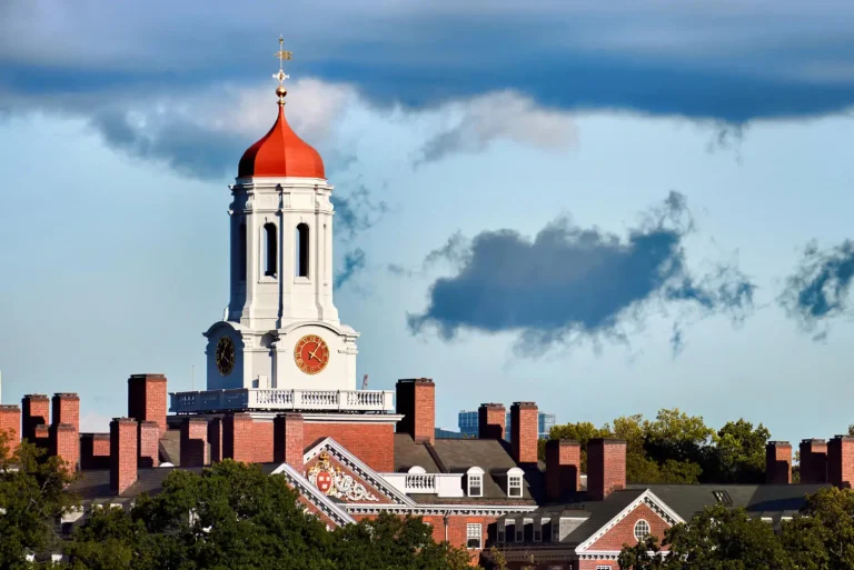 How to Become a Doctor in the USA