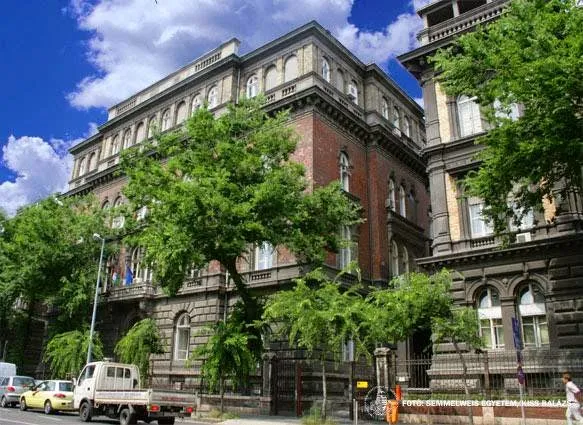 Semmelweis University
