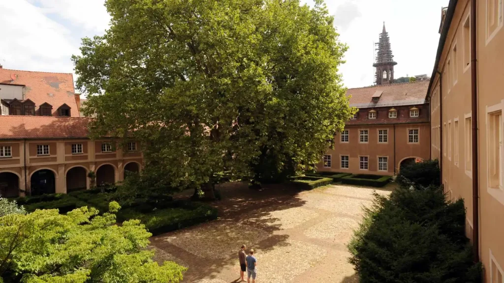 University College Freiburg (UCF)
